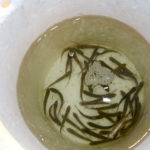 J.T. Thompson prefers fishing small minnows because he says they don’t discriminate when it comes to getting bites; big and small crappie eat them.