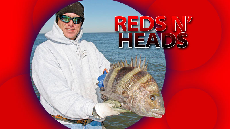 Capt. Rory Rorison says he copes with the fickleness of March by specifically targeting “reds and heads” in Breton Sound and Black Bay.