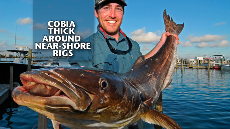 Steve Herbison and Eddie Permenter both know that Venice is a great jumping-off point for hot ling fishing action.