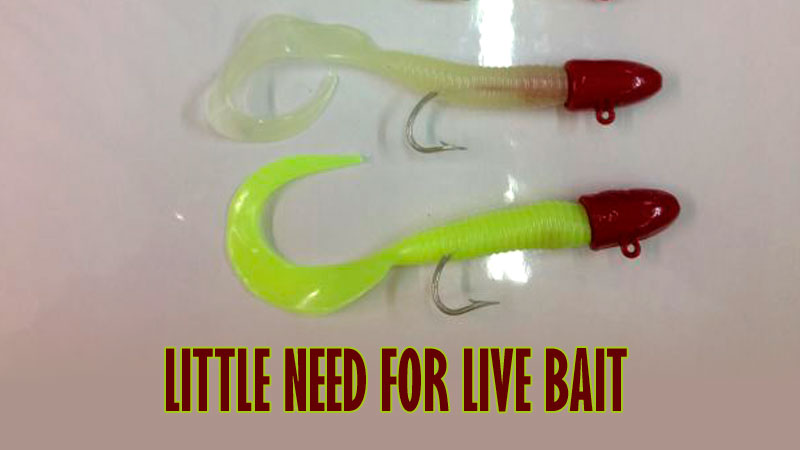 When it comes to catching cobia on the shallow satellite rigs in West Delta during September, Capt. Gray Long insists on using jigs.