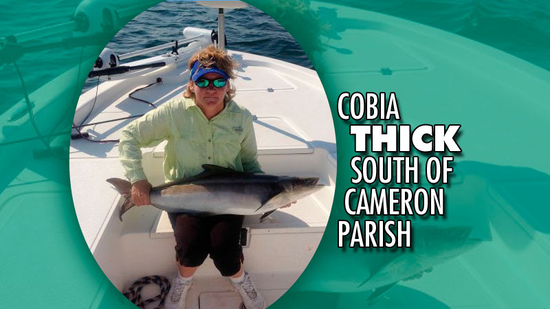 Kaplan’s Skip Floyd launched and headed south from the Cameron Jetties, running 15 miles out to the marker buoys for cobia.