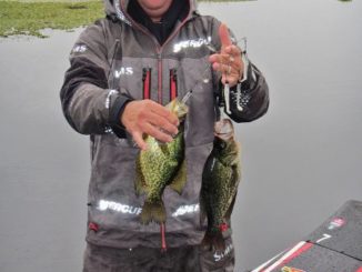 When crappie are super aggressive, double headers are common.