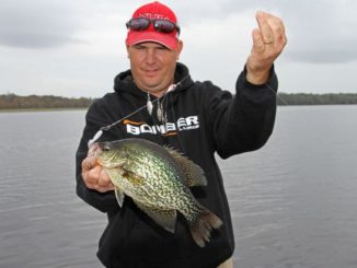 Teaser-style rigs like the Booyah Boo Rig simulate the bait pods that crappie target.