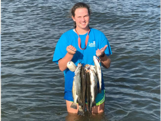 Laura Burch, 14, with a nice mess of trout caught while wade fishing out of her family's camp.