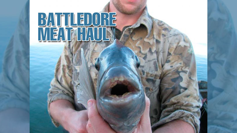 Don’t worry about extreme low tides and marsh-emptying north winds: Head to this collection of platforms to mop up on delectable sheepshead.