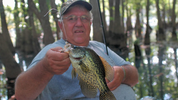 Glynn Lavergne catches tons of crappie because he uses very light, sensitive tackle.