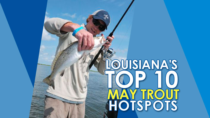 Speckled trout should be practically begging to get into your ice chests this month — if you know where to focus your efforts.