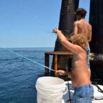 Davin Meyers tossed handfuls of macaroni chum high into the air, while Broussard waited to drop a baited hook near the mouth of any mangrove snapper that showed itself.