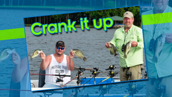 Crank it up — How to catch crappie trolling crankbaits