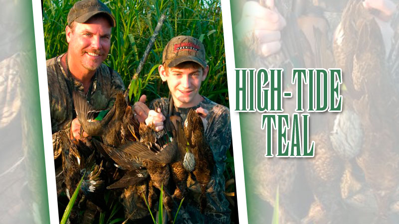September is a time of high tides and flooded marshes, but that doesn’t mean you should stay home when teal season opens.
