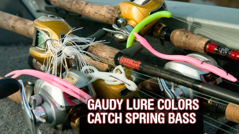 Kenny Covington believes bass are in defensive moods during the spawn and post-spawn, and will hit gaudy colors.