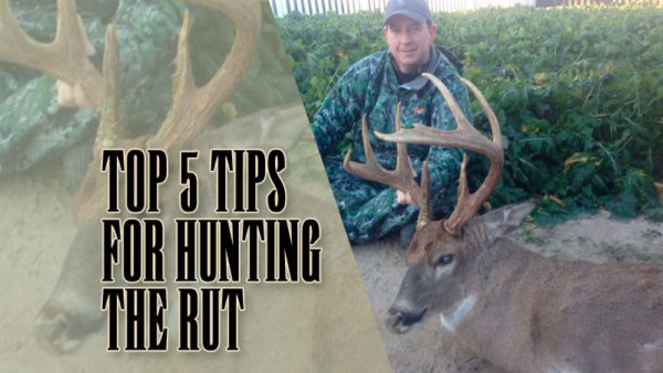 Top 5 tips for hunting the rut