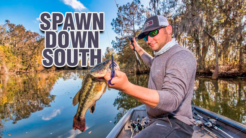 The stained waters of South Louisiana are packed with bass. Use these tips from bass pros who grew up down south to catch more lunkers.