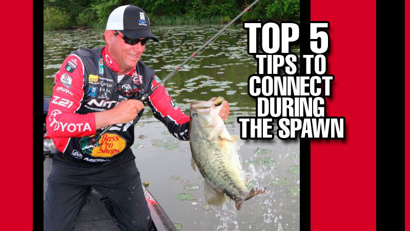 Big fish moving shallow — seems like a can’t-miss opportunity with home run potential, right?