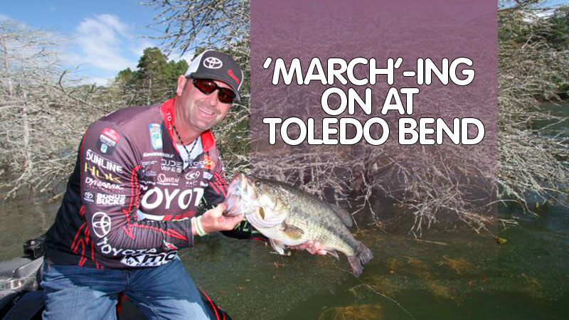 What will this winter’s unseasonably cold temperatures mean for spawning action this month at Louisiana’s premier big-bass location?