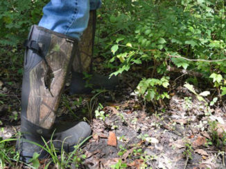 A good pair of snake boots are a must in the early season. With the summer heat lingering in September, snakes are still active.