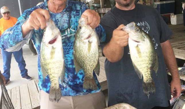 Elize Cormier and Jude Mequet