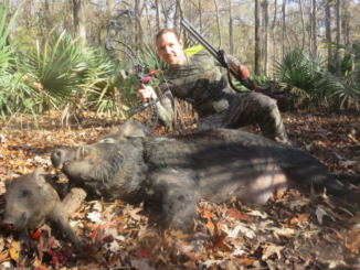 Josh Chauvin, the Apex Predator