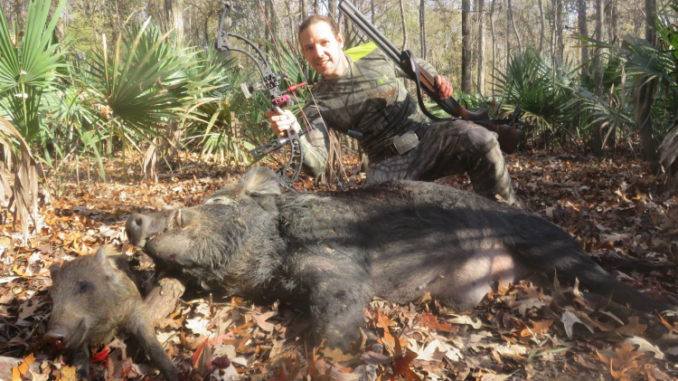 Josh Chauvin, the Apex Predator