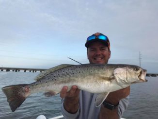 Matrix Shad's Chas Champagne