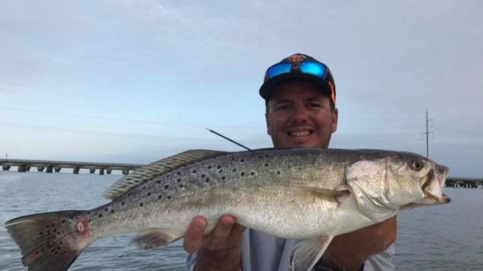 Matrix Shad's Chas Champagne