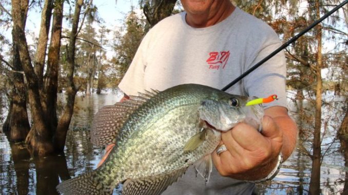 Professional angler Whitey Outlaw