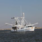 How to target blackfin tuna