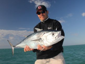 Bonito are a nuisance to tuna seekers