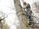 Wearing a safety harness and attaching yourself to a lifeline before ever leaving the ground are keys to tree stand safety.