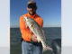 Capt. Eric Pellegrin landed this 400-spot leopard redfish Saturday morning near Wine Island Pass out of Cocodrie.