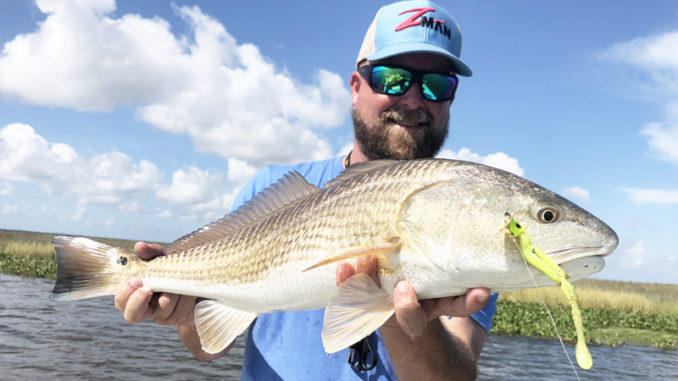 Glenn Young caught this redfish and a host of others on a Z-Man ChatterBait while fishing Venice last month.