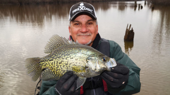 Winter-time crappies are fat and chunky in South Louisiana because they feed heavily in the fall and early winter.