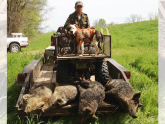 Hog hunter Jeffery Rachal and Bullet after a good morning’s work along Red River.