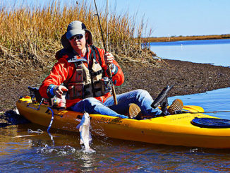 When the temperature and the water levels drop, look for reds packed into tight schools in deeper cuts and dead end canals. Position yourself in the middle, and slowly work your bait up the ledges to find where they are holding.