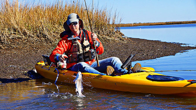 When the temperature and the water levels drop, look for reds packed into tight schools in deeper cuts and dead end canals. Position yourself in the middle, and slowly work your bait up the ledges to find where they are holding.