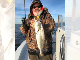 Try throwing big suspending baits such as Corky’s and Mirrodines for big fish near the bank.