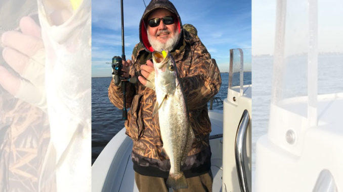 Try throwing big suspending baits such as Corky’s and Mirrodines for big fish near the bank.