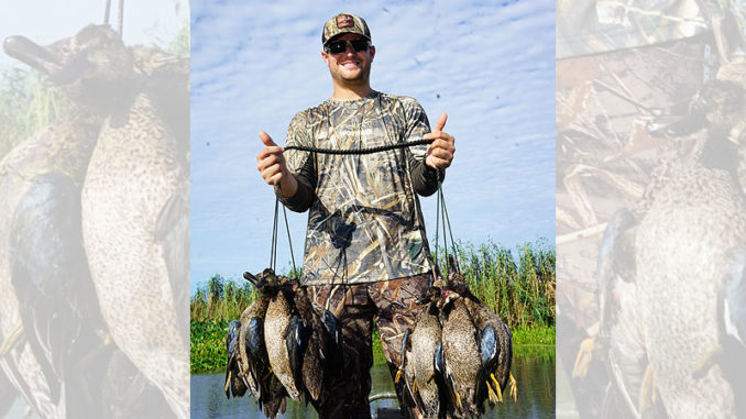 Louisiana duck hunters could be looking at a four-teal limit next September, if a proposal made at January’s meeting of the Wildlife and Fisheries Commission is ultimately approved in April.
