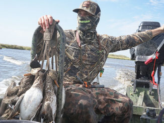 During a mild, wet winter, many species of waterfowl stay as far north as habitat conditions allow.