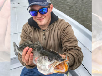 Capt. Marty LaCoste says the fish can roam the entire lake, but his favorite areas include the west and south sides.