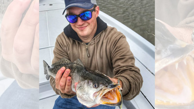 Capt. Marty LaCoste says the fish can roam the entire lake, but his favorite areas include the west and south sides.