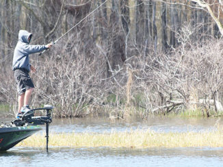 Identifying the types of habitat in which bass feed and spawn is key to lake break down.