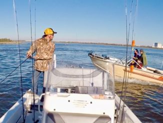 Googans abound during the hot wintertime trout bite.