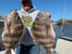 Christian Orfanello and two giant sheepshead he caught on Jan. 6 in the Lakeshore Estate canals in Slidell.