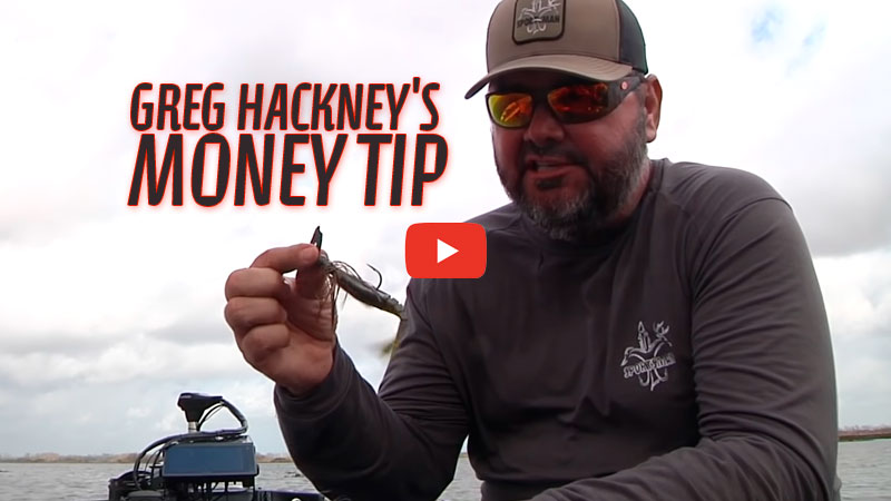 Greg Hackney's tips and tricks are spelled out here to help you fish the spawn and win bass tournaments.