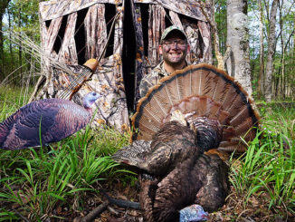 Chose a top-drawer WMA and spend some time in the woods scouting; chances of taking a gobbler are good.