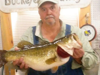 Jim Miers of DeRidder weighed in this 10.96-pounder, the 20th fish entered in the 2018-19 Toledo Bend Lunker Bass Program season, on Feb. 4. The big bass bit a Zoom lizard in sprayed grass color on a treetop in the Mill Creek area.