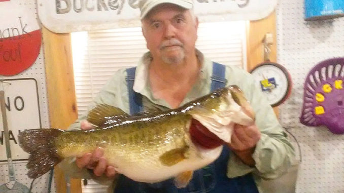 Jim Miers of DeRidder weighed in this 10.96-pounder, the 20th fish entered in the 2018-19 Toledo Bend Lunker Bass Program season, on Feb. 4. The big bass bit a Zoom lizard in sprayed grass color on a treetop in the Mill Creek area.