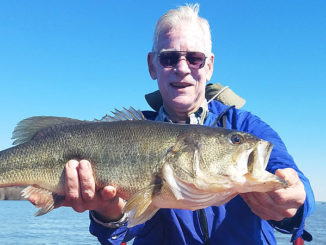 After some advice from John Dean, Ralph Daigle cast around hay grass in 5-foot depth and caught this lunker on a Carolina-rigged black super fluke in Housen Bay.