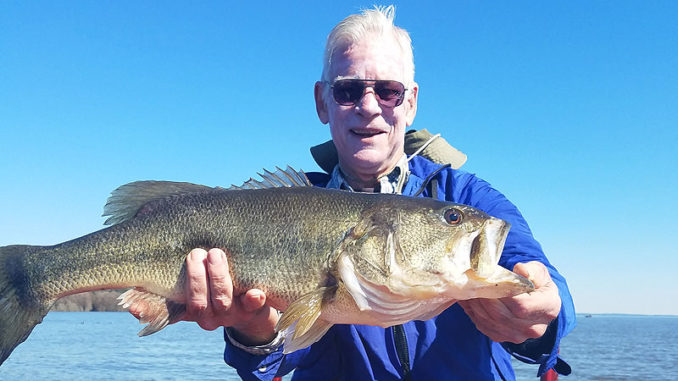 After some advice from John Dean, Ralph Daigle cast around hay grass in 5-foot depth and caught this lunker on a Carolina-rigged black super fluke in Housen Bay.